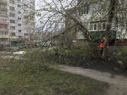 Роман айфон 261