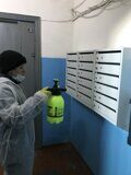 Роман айфон 242