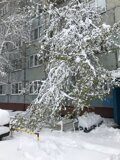 Роман айфон 214