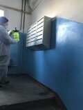 Роман айфон 239