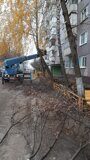 IMG_20221111_134149_876