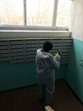 Роман айфон 248