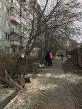 Роман айфон 260