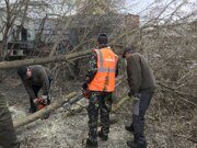 Роман айфон 270