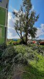 IMG_20210922_120406_431