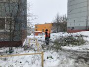 Роман айфон 215