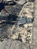 IMG_20211220_135327_313