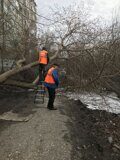 Роман айфон 264